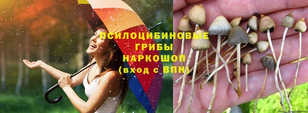 каннабис Алексеевка