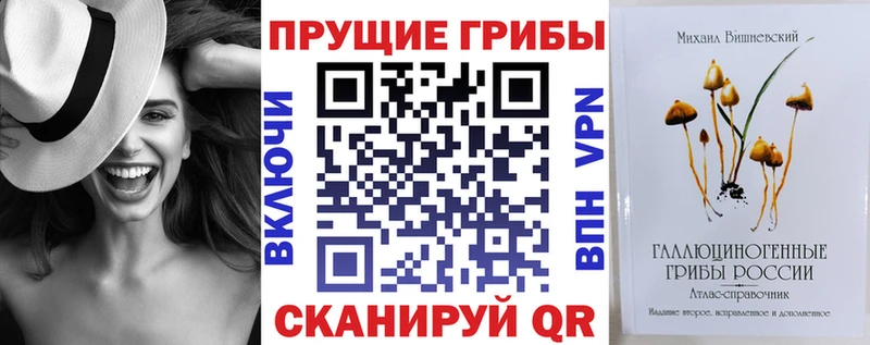 Галлюциногенные грибы Psilocybine cubensis  Майкоп 